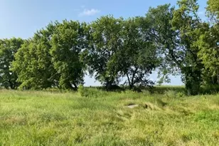 5454 Hwy 7, Lester Prairie, MN 55354 - Photo 1