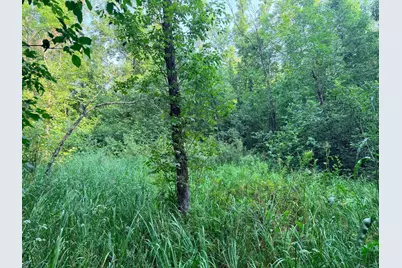 Tbd Skyview Street, Brook Park, MN 55007 - Photo 48