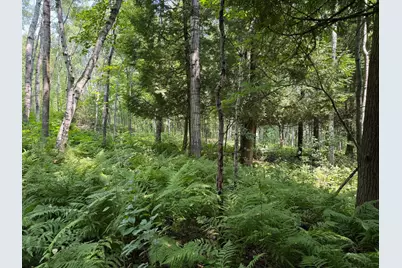 Tbd N 83rd Ave. W, Duluth, MN 55807 - Photo 22