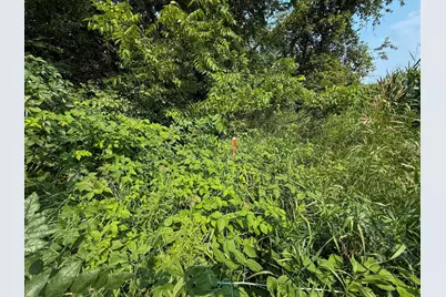 Tbd County 45 Boulevard, Red Wing, MN 55066 - Photo 22