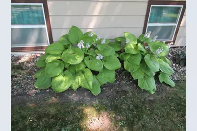 1646 N 5th Street, Montevideo, MN 56265 - Photo 62