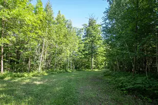1655 Eastburn Rd NE, Remer, MN 56672 - Photo 20