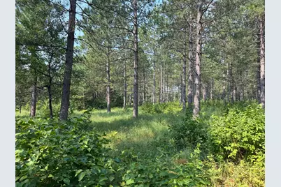 Tbd Cottingham Drive, Staples, MN 56479 - Photo 24