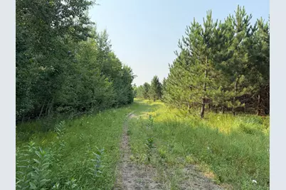 Tbd Co Rd 7, Staples, MN 56479 - Photo 46