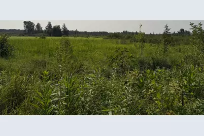 Tbd Co Rd 7, Staples, MN 56479 - Photo 36
