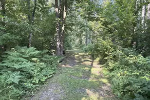 W9527 Mile Rd, Ladysmith, WI 54848 - Photo 2