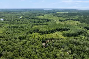 33006 Big Pine Hollow Rd, Crosslake, MN 56442 - Photo 34