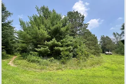 Xxxxx Lily Lake Inn Road, Webster, WI 54893 - Photo 8