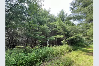 Xxxxx Lily Lake Inn Road, Webster, WI 54893 - Photo 6
