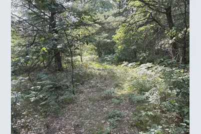 S13160 Camp Road, Fairchild, WI 54741 - Photo 18