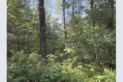 S13160 Camp Road, Fairchild, WI 54741 - Photo 16