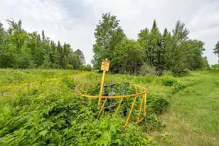 4007 Hwy 5, Hibbing, MN 55746 - Photo 48