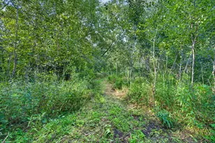 4705 170th Ln NE, Ham Lake, MN 55304 - Photo 30