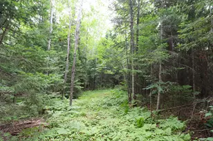 28395 Co Hwy G, Ashland, WI 54806 - Photo 58