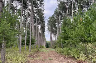 (Lot 1) Tbd Tulip Street NW, Stanchfield, MN 55080 - Photo 1