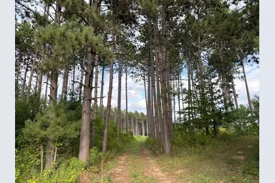 (Lot 4) Tbd Tulip Street NW, Stanchfield, MN 55080 - Photo 1