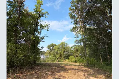 (Lot 7) Tbd Tulip Street NW, Stanchfield, MN 55080 - Photo 1