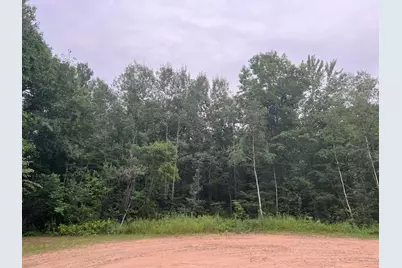 Tbd Woodpecker Lane, Sandstone, MN 55072 - Photo 12