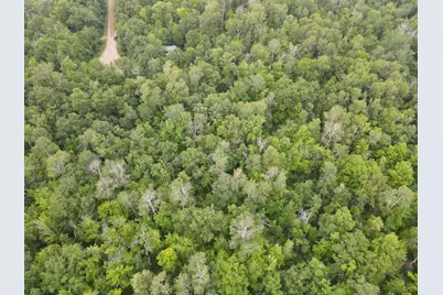 Tbd Woodpecker Lane, Sandstone, MN 55072 - Photo 4
