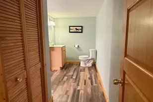3914 Alder St NE, Bemidji, MN 56601 - Photo 30