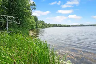 40107 County 17, Browerville, MN 56438 - Photo 10