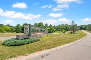 40107 County 17, Browerville, MN 56438 - Photo 40