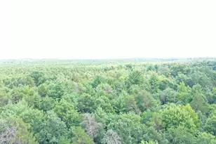 20654 Bucktail Dr, Grantsburg, WI 54840 - Photo 46