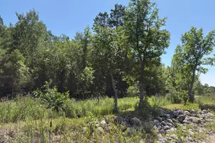 9962 Knotty Pine Dr, Park Rapids, MN 56470 - Photo 42