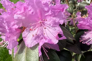 133 Craig Way NE, Fridley, MN 55432 - Photo 78