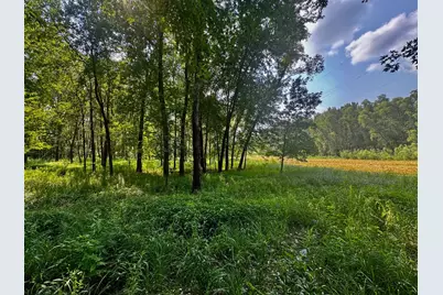 Tbd Grove Street, Le Sueur, MN 56058 - Photo 14