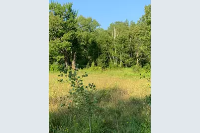 14331 395th Lane, Tamarack, MN 55787 - Photo 42