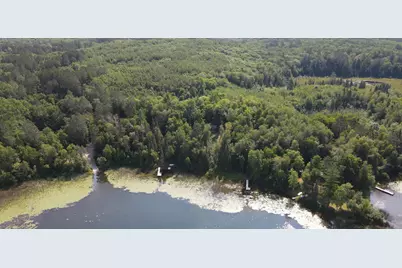 37800 Grave Lake Forest Road, Deer River, MN 56636 - Photo 22
