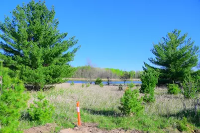 28274 Orb Drive, Browerville, MN 56438 - Photo 16