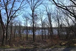 Tbd51 Ottawa Dr, Browerville, MN 56438 - Photo 1