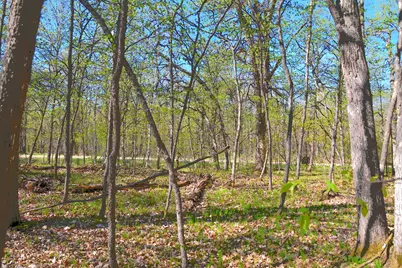 Tbd 392 Street, Fawn Lake Township, MN 56438 - Photo 10