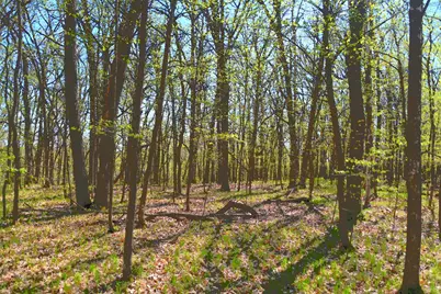 Tbd 392 Street, Fawn Lake Township, MN 56438 - Photo 12
