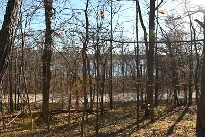 Tbd 392 Street, Fawn Lake Township, MN 56438 - Photo 8