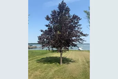 7982 147th Avenue SE, Lake Lillian, MN 56253 - Photo 30