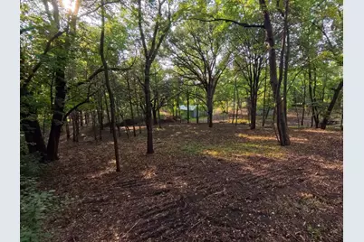 Lot 4 S Le Homme Dieu Drive NE, Alexandria, MN 56308 - Photo 8