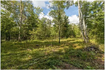Tbd Wood Drive SW, Brainerd, MN 56401 - Photo 6
