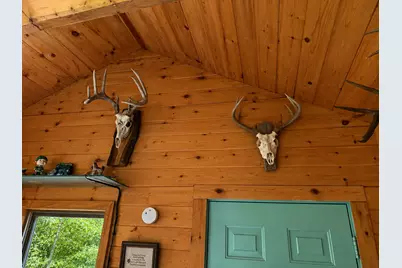 Tbd Chimney Road, Nevis, MN 56467 - Photo 12