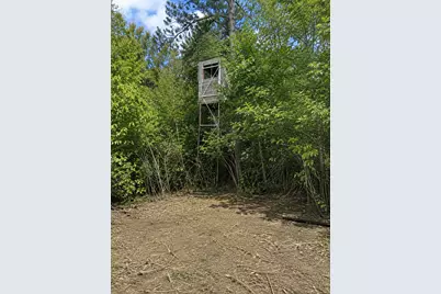 Tbd Chimney Road, Nevis, MN 56467 - Photo 1