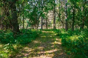 165 150th Ln NW, Andover, MN 55304 - Photo 76