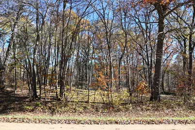 39884 Pine Island Pt Drive, Browerville, MN 56438 - Photo 8