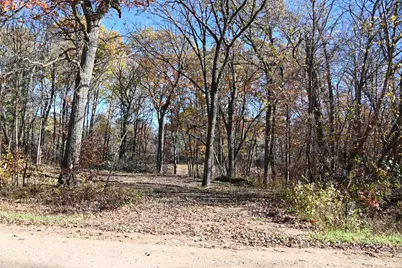 39884 Pine Island Pt Drive, Browerville, MN 56438 - Photo 1