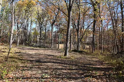 39884 Pine Island Pt Drive, Browerville, MN 56438 - Photo 4