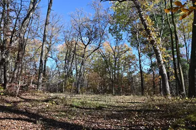 39906 Pine Island Pt Drive, Browerville, MN 56438 - Photo 6