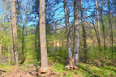 39906 Pine Island Pt Drive, Browerville, MN 56438 - Photo 24