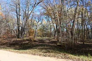 39906 Pine Island Pt Dr, Browerville, MN 56438 - Photo 1