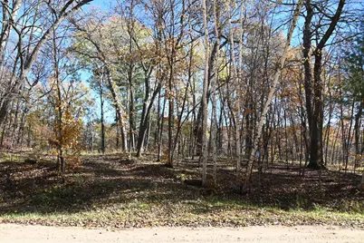 39906 Pine Island Pt Drive, Browerville, MN 56438 - Photo 2
